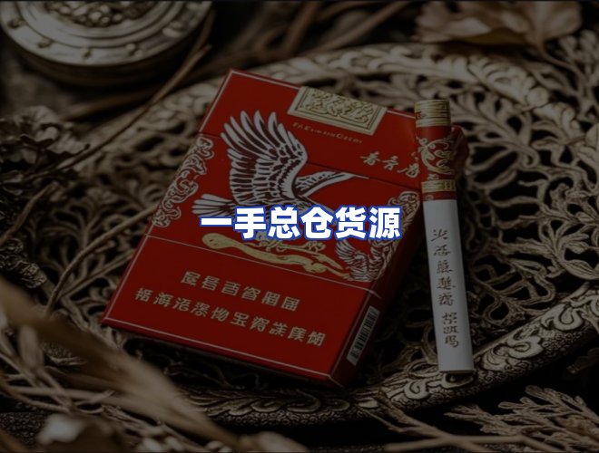专业团队